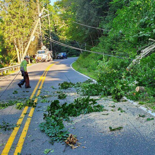 Grays Harbor PUD's Response to the Outage