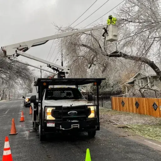 Power Restoration Efforts
