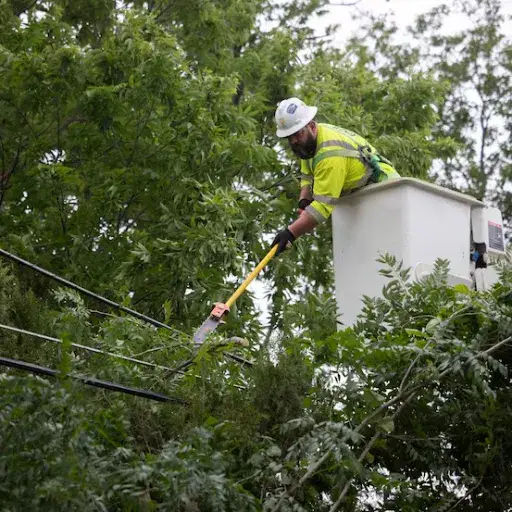Common Causes of Power Outages in Seattle