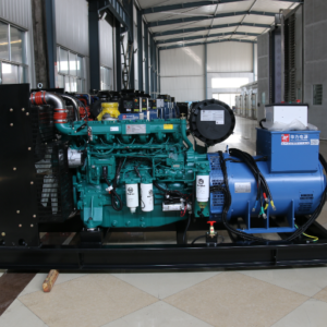 Generator Backfeeding Dangers: Why It Kills and How to Prevent It